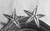 Πιατάκι ασημένιο με αστερίες vars111 www.nauticalgifts.gr